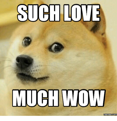 Such much. So much wow. Such wow. Wow such Doge.