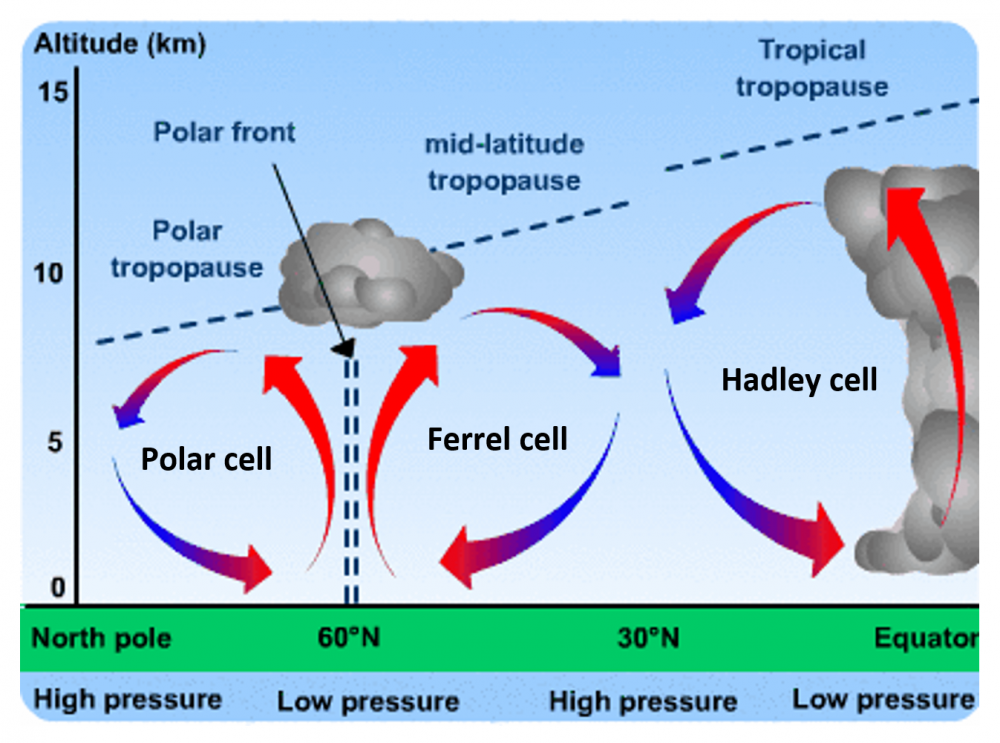 High cell. Тропосфера и тропопауза. Тропопауза суперячейка. Atmospheric Cells. Hadley Cell.