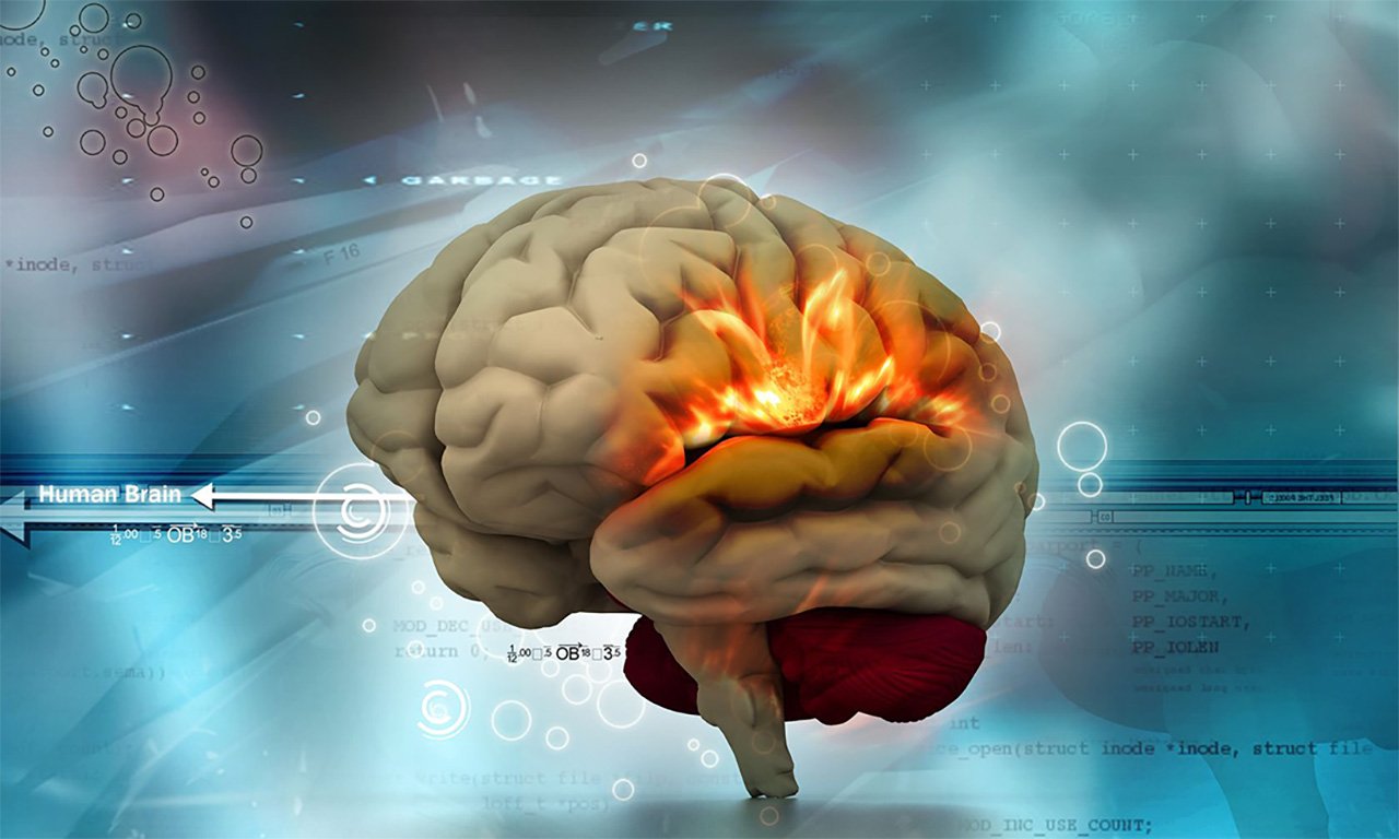Brain 84. Инновация мозг. Мозг технологии. Мозг 3д Графика. Технологии и мозг красный.