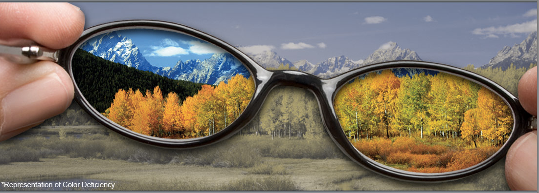 Как видят люди в очках. Очки Enchroma. Очки и линзы для дальтоников. Мир через очки.