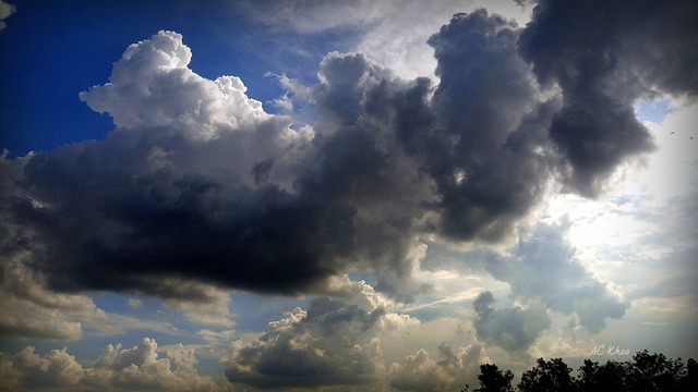 DSC_0969 c.JPG