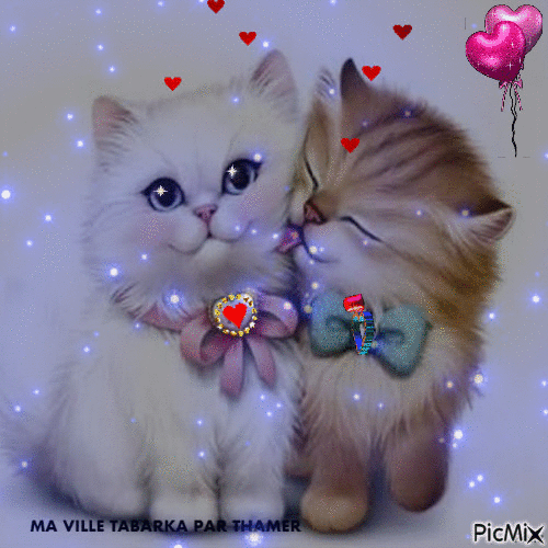 leuke poes.gif