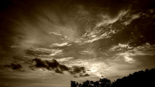 DSC07370 b.jpg