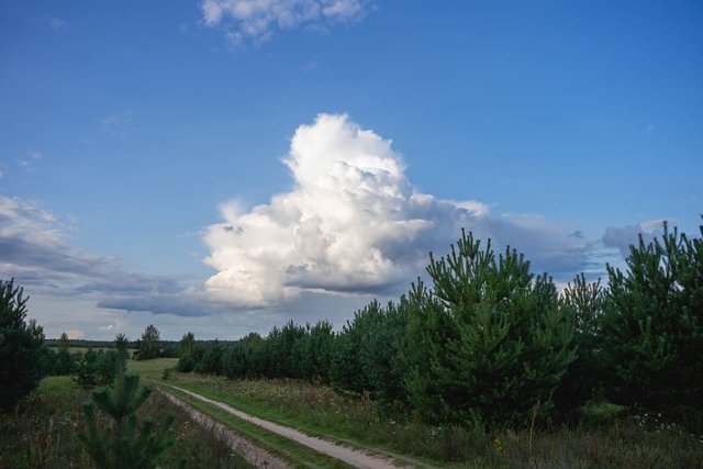 DSC09677-HDR.jpg