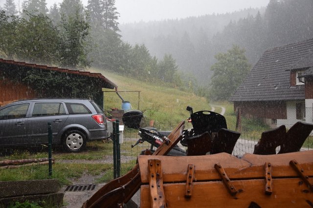 DSC_0006_800.JPG