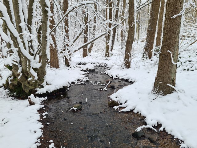 Schnee (4).jpg