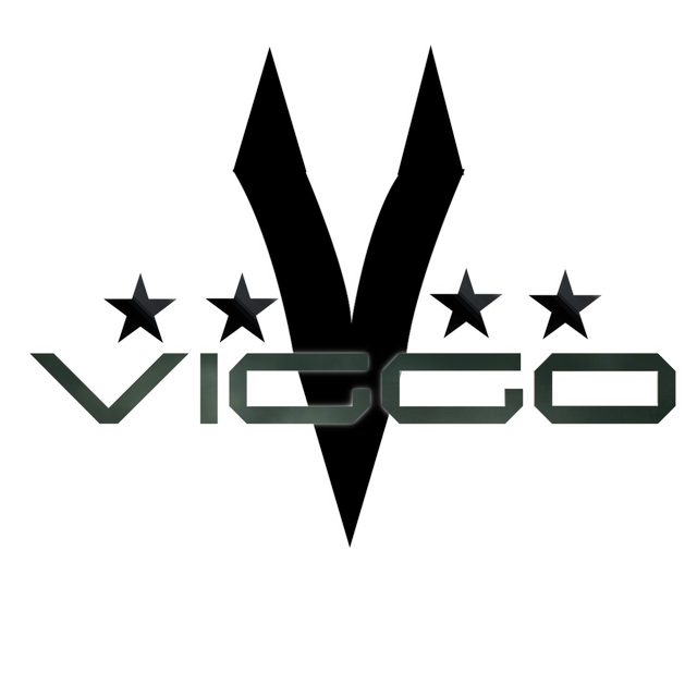 Logo Viggo.png