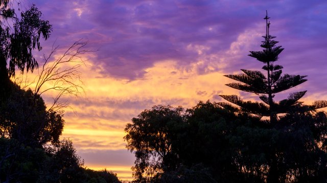 A1V04918-HDR.jpg