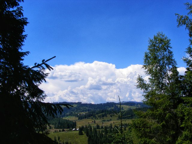 DSCF4078-01.jpeg
