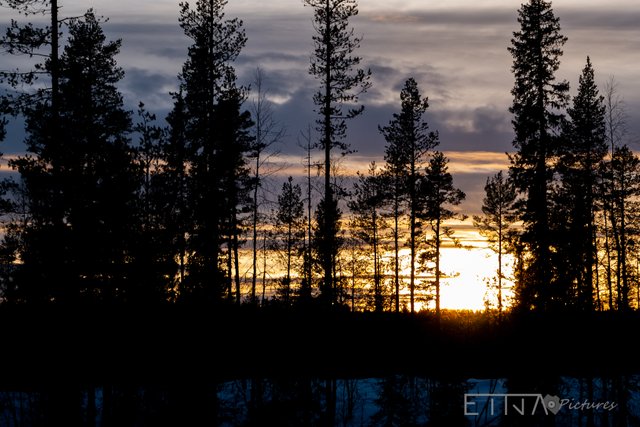 Sun rise-1.jpg