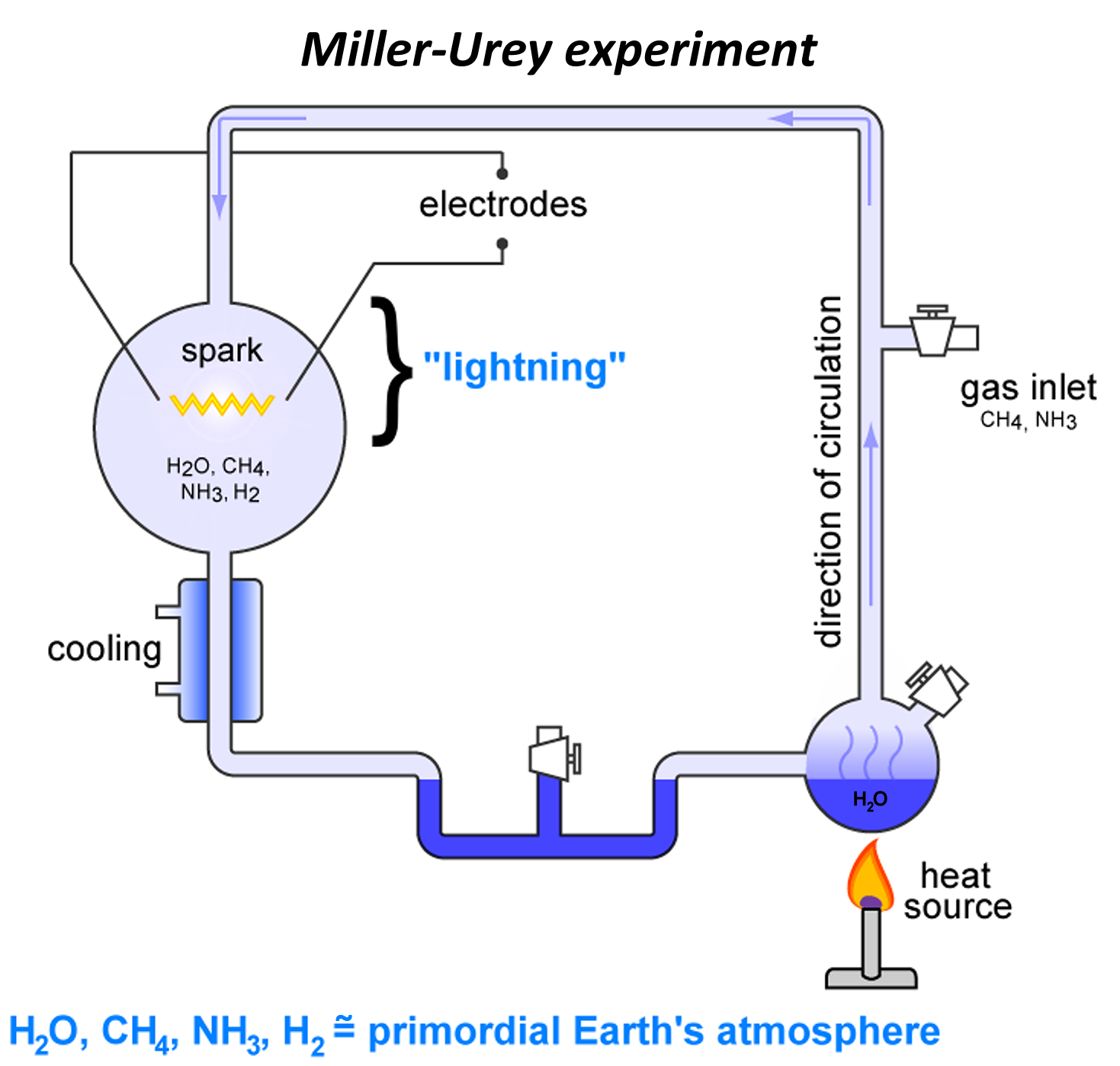 Установка миллера. Эксперимент Миллера - Юри. Эксперимент Миллера Юри и теория Опарина Холдейна. Опыт Миллера. Опыт имитирующий условия первичной атмосферы земли.