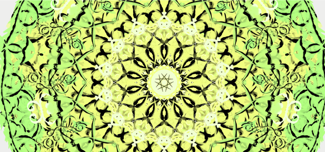 manda_55_283.png