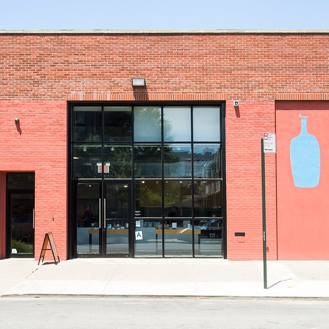 bluebottle12.jpg