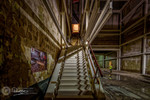 My neighbours home renovation…(part VIII of ?)