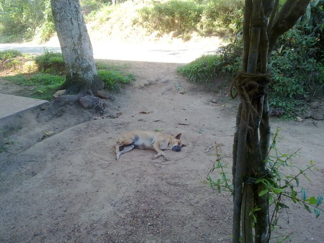 010620102230.jpg