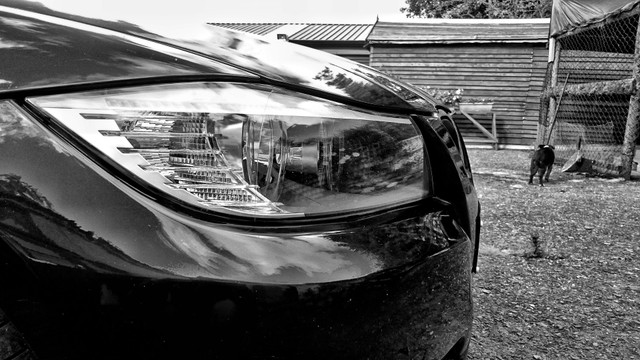 DSC_1783-01.jpeg