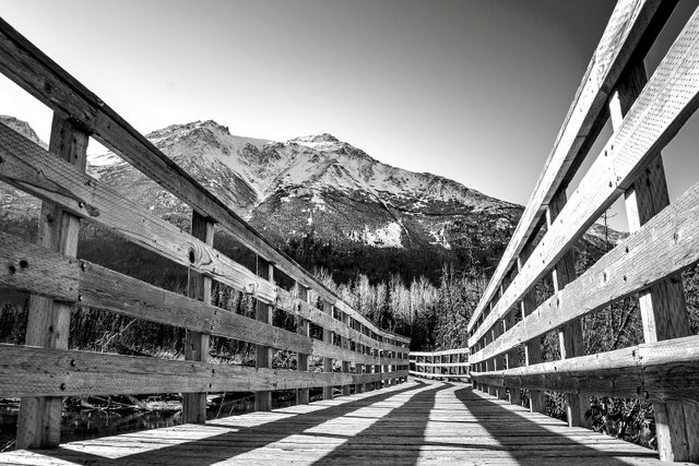 DSC_0235-3-3.JPG