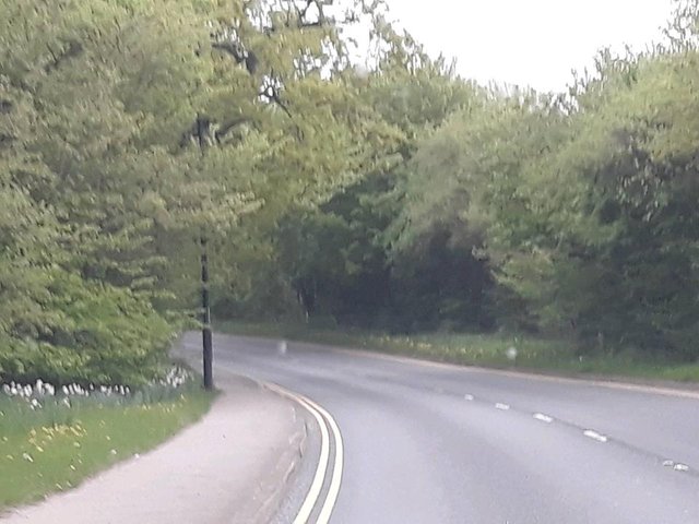 long drive.jpg