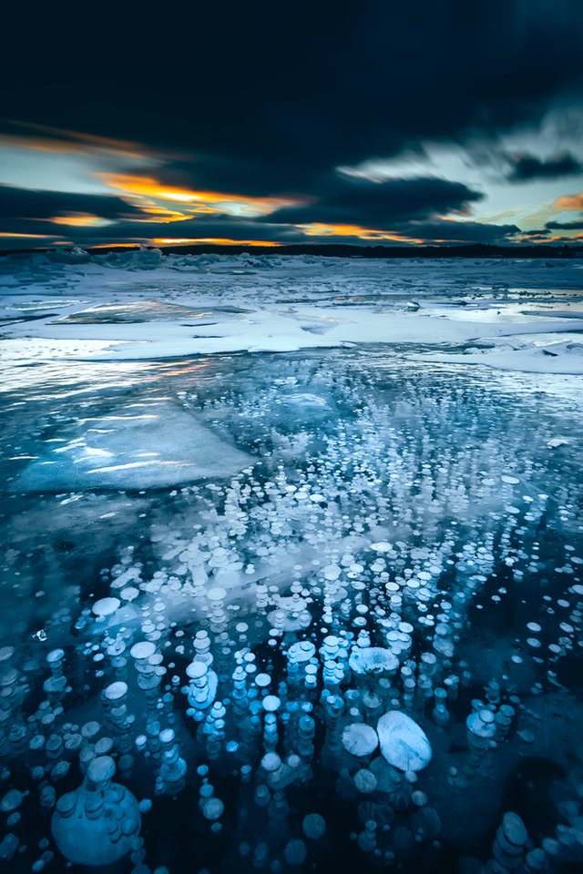 Ice-patterns.jpg