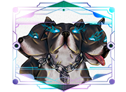 asfvdzxvfdxz.png