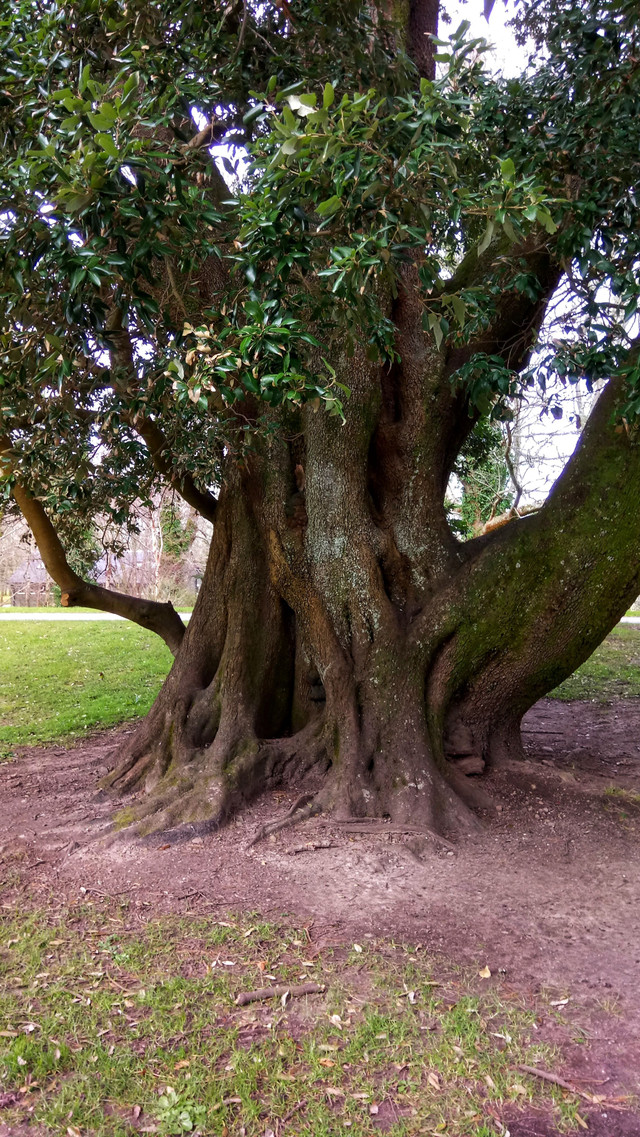 DSC_0742-01.jpeg
