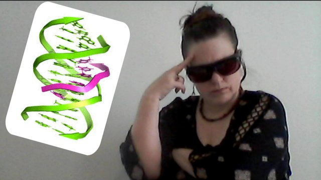 Triplex TN.jpg