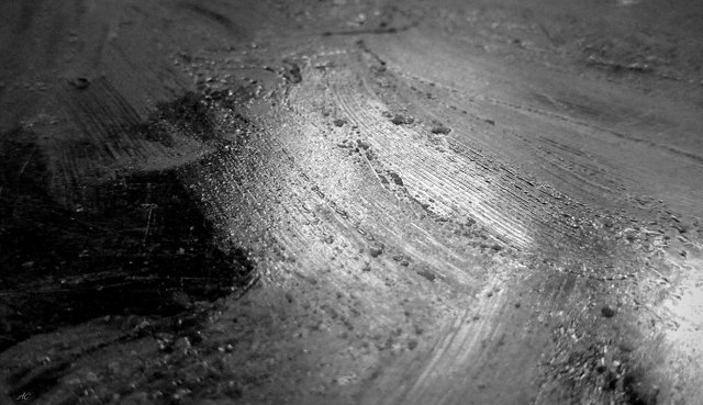 DSC_2725 b.jpg