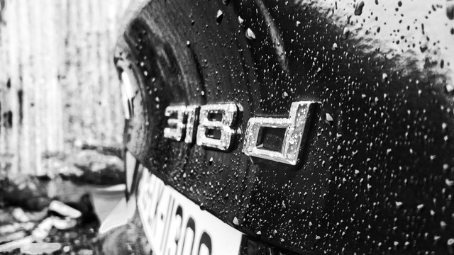 DSC_1837-01.jpeg