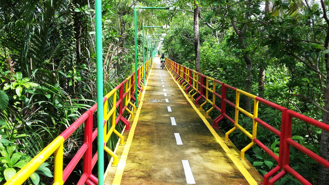 #3 Hidden jungle in Bangkok, Thailand