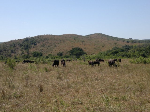 041220142034.jpg