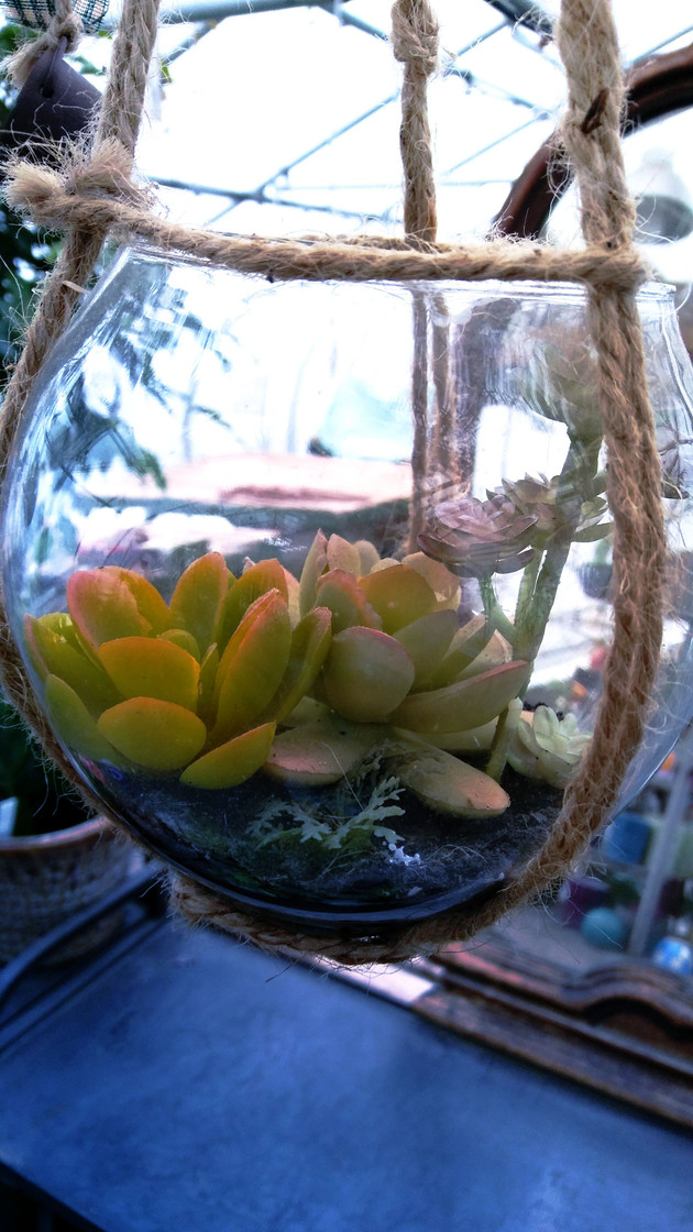 NWJordan_Blue Heron Studios_The Succulent's World Away.jpg