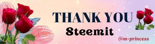 Red and Purple Aesthetic Thank You Mailing Label_2.jpg
