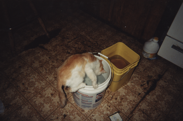 2000's apx Dumb DUmb Bucket Drink in the Kitchen.png