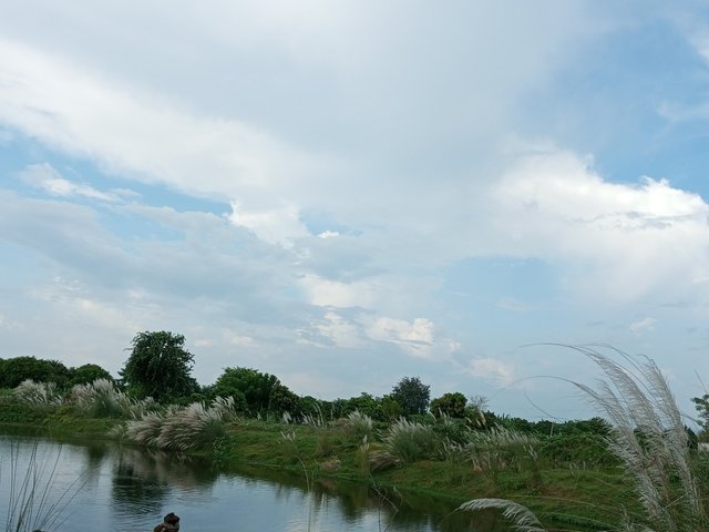 IMG_20220922_153348_238.jpg