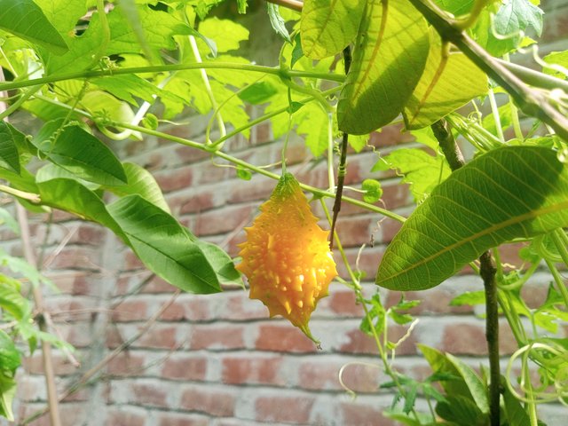 IMG_20230803_082936_171.jpg