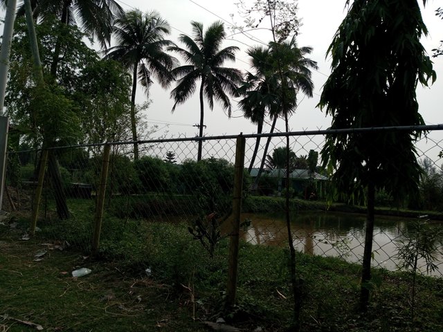 IMG_20240519_075855_529.jpg