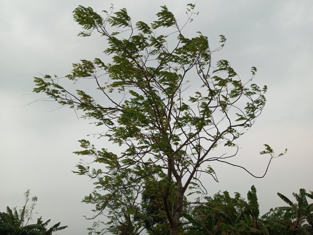 IMG_20240506_182557_333.jpg