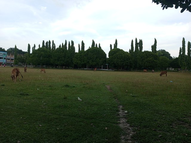 IMG_20230909_164423_263.jpg