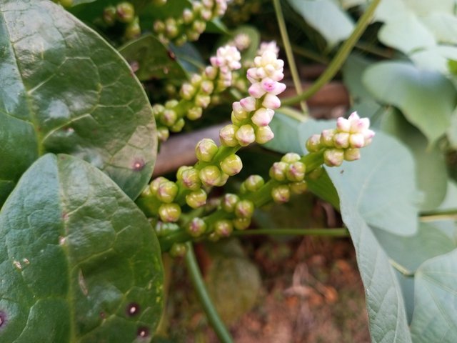 IMG_20231231_165619_975.jpg