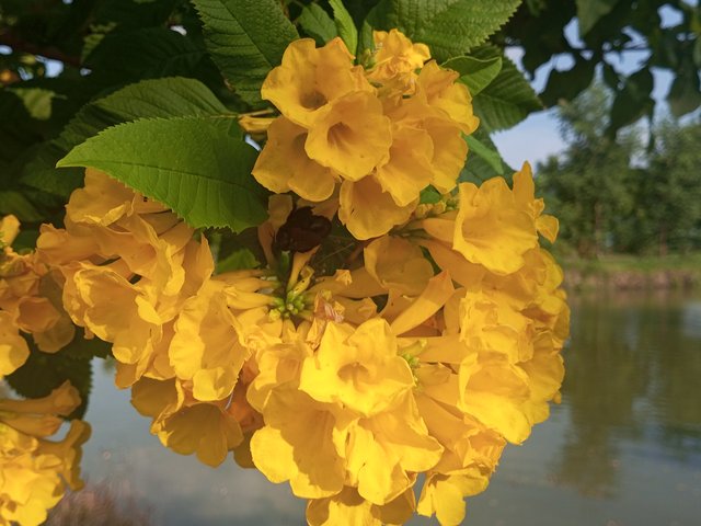 IMG_20220821_163844_268.jpg