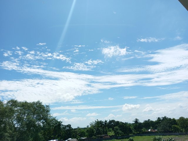 IMG_20220919_105003_877.jpg