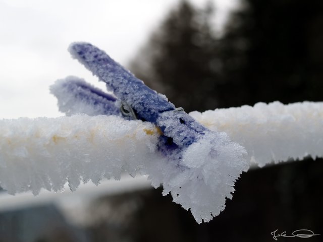 2018-12-05-Hoarfrost-02.jpg
