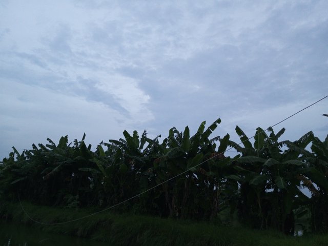 IMG_20230912_182404_466.jpg