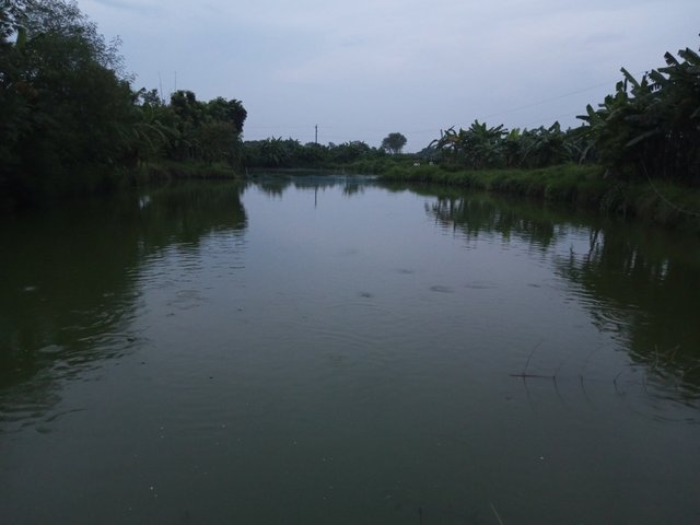 IMG_20230912_182412_561.jpg