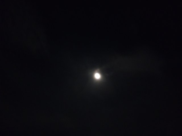 IMG_20230729_195741_660.jpg