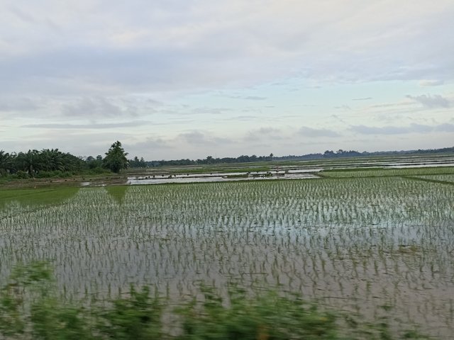 IMG_20211207_175132-01.jpeg