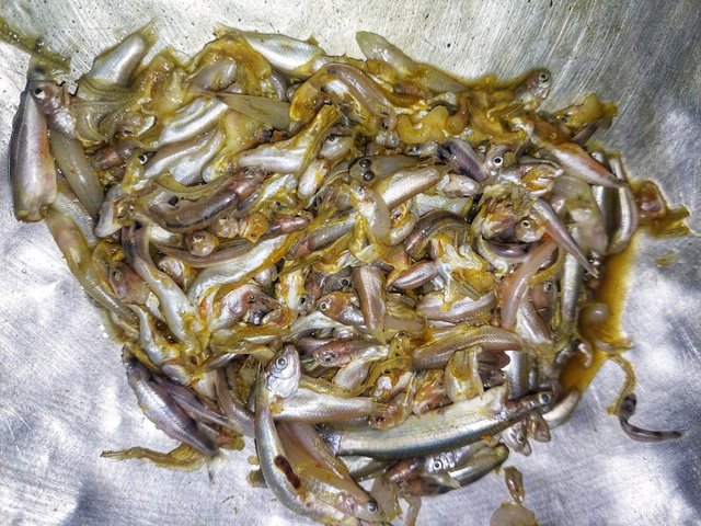 IMG-20220320-WA0002-01.jpeg