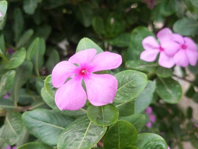 IMG_20240514_153944_937.jpg