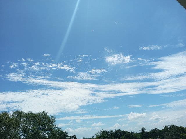 IMG_20220919_105006_289.jpg