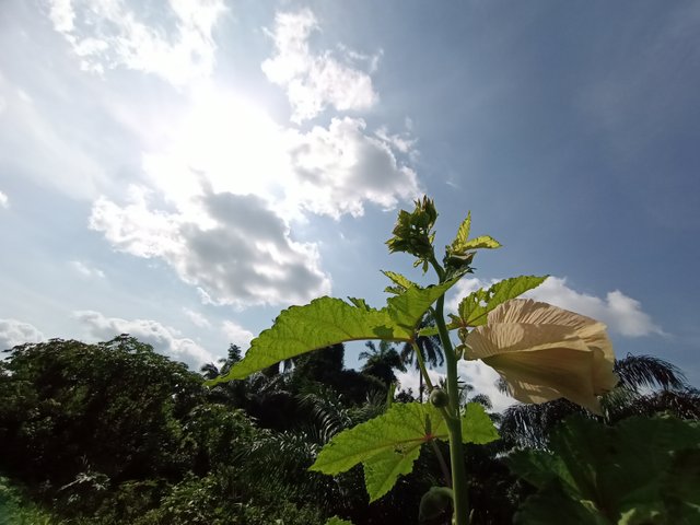 IMG_20211112_144253_688.jpg